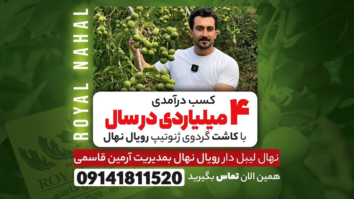 کسب درآمدی ۴ میلیاردی با کاشت نهال گردو ژنوتیپ رویال