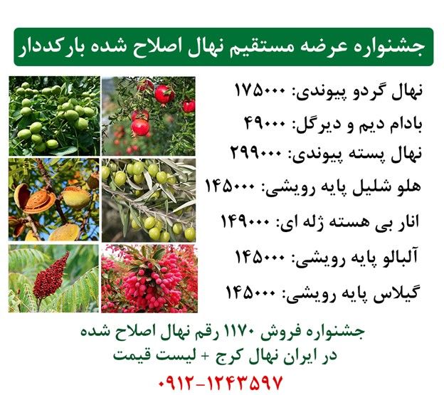 جشنواره فروش  نهال پسته پیوندی + گردو پیوندی + بادام دیرگل بارکددار با  ارسال یک روزه