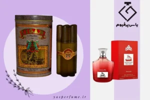 راهنمای خرید عطر کلاسیک و شرکتی اصل