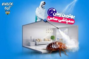 بهترین زمان سمپاشی ساس (آموزش سمپاشی ساس کاملاً اصولی بدون تخلیه منزل)