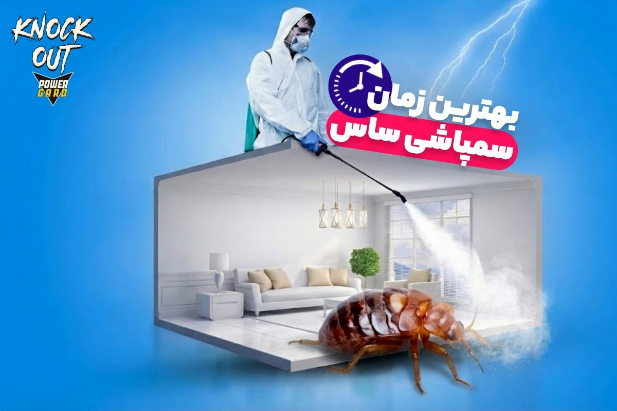 بهترین زمان سمپاشی ساس (آموزش سمپاشی ساس کاملاً اصولی بدون تخلیه منزل)