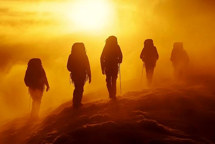 راه راستین سرمایهگذاری؛ داستانی از سبدگردان آبنوس راه راستین سرمایهگذاری؛ داستانی از سبدگردان آبنوس