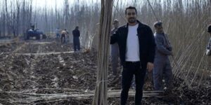 سود خالص ۳۰ میلیاردی با کاشت نهال صنوبر،کمترین ریسک و بیشترین درآمد