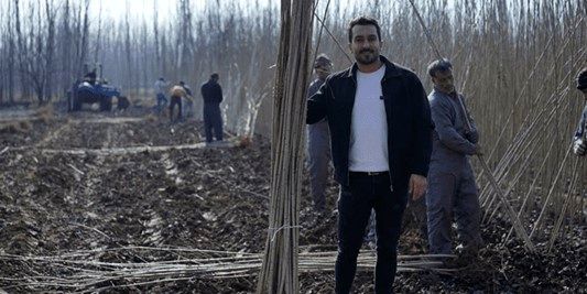 سود خالص ۳۰ میلیاردی با کاشت نهال صنوبر،کمترین ریسک و بیشترین درآمد