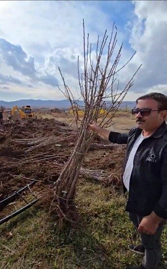 کشت پاییزه نهال یعنی گیرایی بالا و درصد خطا پایین و کاهش هزینه؛ فرصت را از دست ندهید